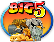 Click To Play Big 5 For Free