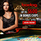 Bodog Online Casino