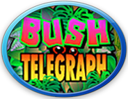 Click To Play Bush Telegraph For Free