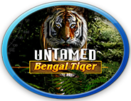 Click To Play Untamed - Bengal Tiger For Free