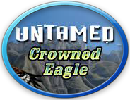Click To Play Untamed - Crowned Eagle For Free