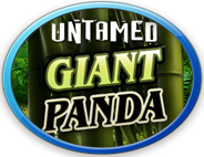 Click To Play Untamed - Giant Panda For Free