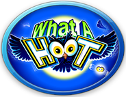 Click To Play What A Hoot For Free