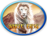 Click here to play White King Online Slots