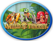 Click To Play Wild Turkey Slots