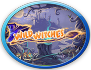 Click To Play Wild Witches Slots